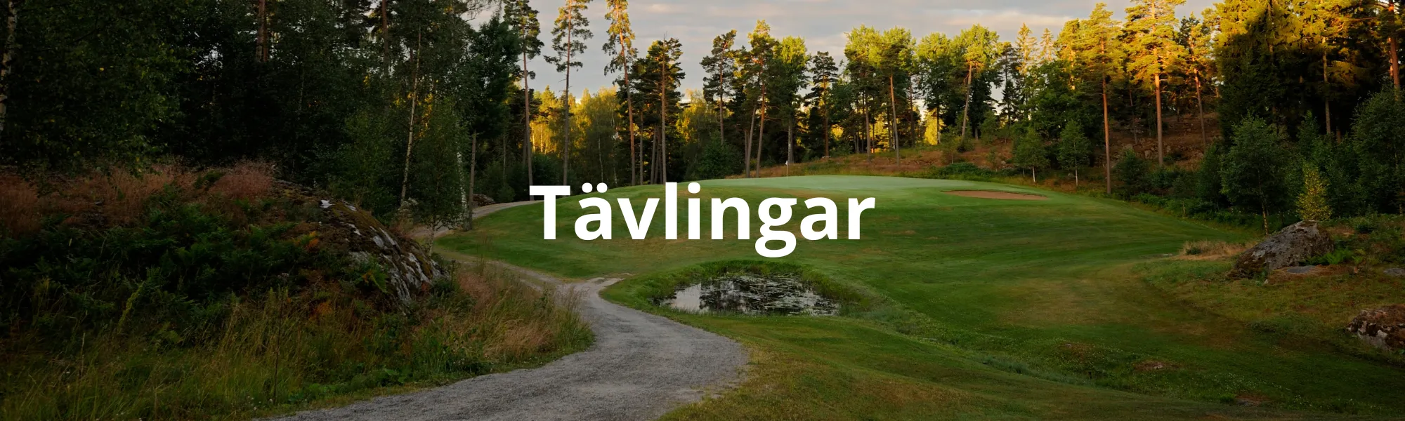 tävlingar